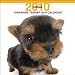 yorkshire_terrier13yorkshire terrier - Yorkshire Terrier 2010 Square Wall ARTLIST Multilingual Edition