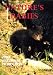 Nature's Babies Wildlife DVD