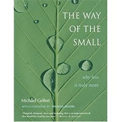 The Way of the Small: Why Less Is More