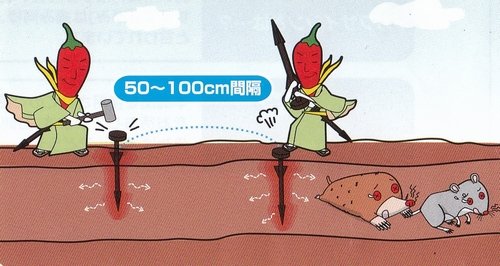 サクサクさす衛門のピリピリスティック（30本）