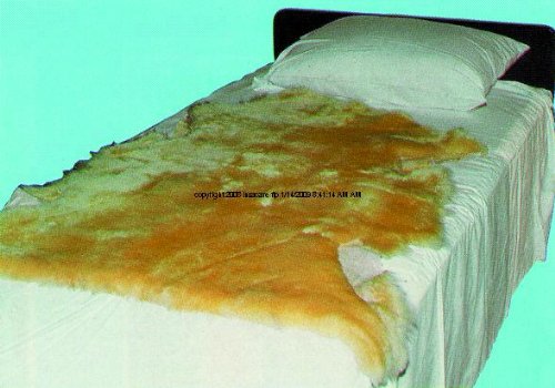 One Each Sheepskin Pad 72in Long SHEEPSKIN RANCH INC.