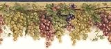 Wallpaper Blue Mountain Eastbourne Grape Vine Border EB064103D