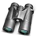 Barska Benchmark 10X42 Waterproof Binocular