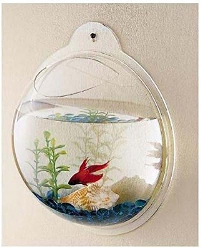 Fish Bubble Aquarium Bowl, Wall Mount Hanging