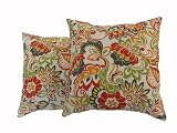Newport Layton Home Fashions 2-Pack KE20 Indoor/Outdoor Pillows, Zoe, Citrus
