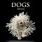 10 Best Dog Books of All-Time