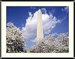 A Monumental Spring Day in Washginton, D.C. Photograph - Beautiful approx. 22"x26" Framed & Matted Photographic Print by Carol M. Highsmith