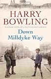 Down Milldyke Way
