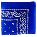 Paisley Cotton Bandanas - 15 Colors to Choose From