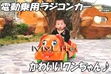 乗用ワンチャン 黄■電動ラジコンカー◆子供が乗って親が操縦!新品