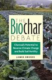 The Biochar Debate: Charcoal's Potential to Reverse Climate Change and Build Soil Fertility (Schumacher Briefings)