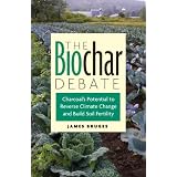 The Biochar Debate: Charcoal's Potential to Reverse Climate Change and Build Soil Fertilityby James Bruges