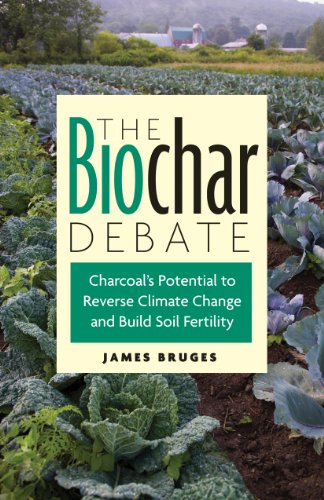The Biochar Debate: Charcoal's Potential to Reverse Climate Change and Build Soil Fertility (Schumacher Briefings)