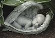 14.5" Joseph's Studio Sleeping Baby in Angel Wings Outdoor Garden Figure Statue