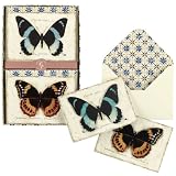 CR Gibson Butterfly Duet Natural Wonders Note Cards (Pack of 2)