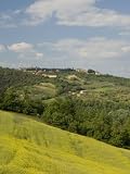 Countryside Near Montepulciano, Val D