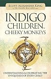 Indigo Children & Cheeky Monkeys