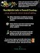 Shack Rabbit Guide to Natural Cleaning
