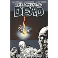 The Walking Dead, Vol. 9: Here We Remain