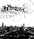 Graffitecture: Chicago Graffiti Artists Attack Photographic Spaces