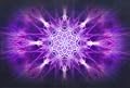 MindPlace Four Elements Meditation DVD