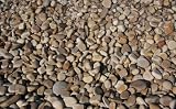 (99x164) Pebbles on the Beach Huge Wall Mural Art Print Poster