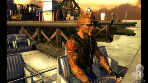 Mercenaries 2: World in Flames image