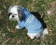 Hooded Sweatshirt "Ciao" - Sky Blue / Medium