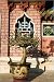 photo poster Bonsai frangipani tree at Assembly Hall of Fujian Chinese Congregation. in size: 40 ...