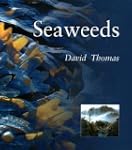 Seaweeds Pb