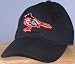 beagle38 - Baltimore Orioles On Field Embroidered Logo Cap Hat