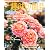 NHK 趣味の園芸 2012年 05月号 [雑誌]