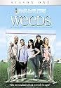 Weeds - Series 1 - Complete [DVD] [2005]