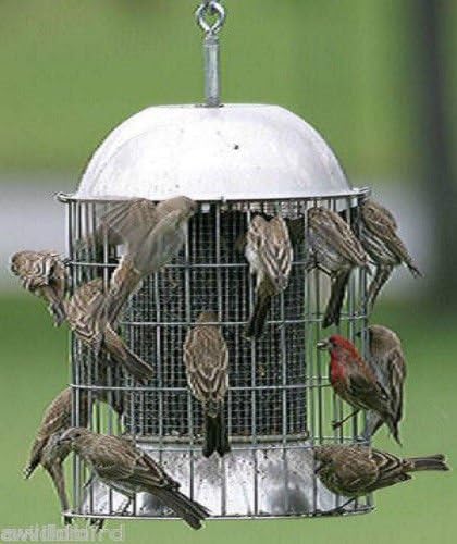 Large Size Squirrel Proof Stainless Steel Wild Bird Feeder