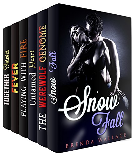 Bad Boy Romances Box Set (6 in 1): Paranormal Fantasy Stories to Warm You Up! (Fantasy Billionaire Romance Short Stories)