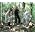 Thumbnail image of Shapeshifter