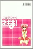 Negima! Magister Negi Magi 25