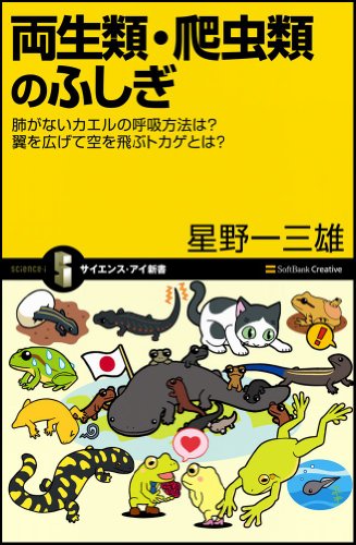 Cover image : 両生類・爬虫類のふしぎ 肺がないカエルの呼吸方法は？ 翼を広げて空を飛ぶトカゲとは？ (サイエンス・アイ新書)