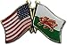 Flagline Wales - Friendship Lapel Pin