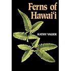 Click here to buy Ferns of Hawaii by  Kathy Valier.