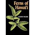 Ferns of Hawai'i by Kathy Valier