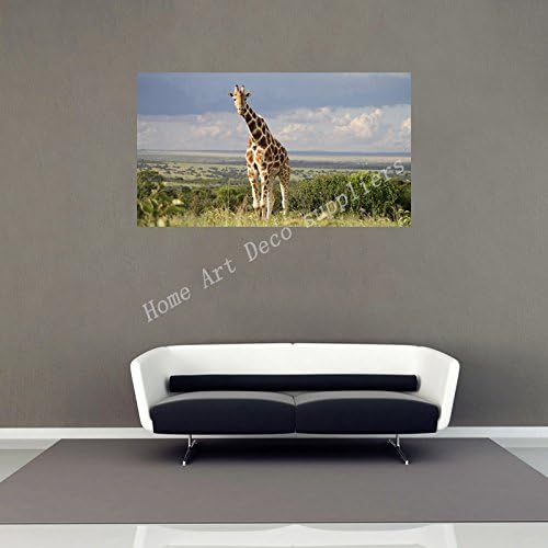 Grassland Animal Giraffe Poster 4 Size Image Of Modern Urban Art Deco Wallpaper Waterproof Back Glue Paper Poster WFJ179