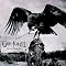 Best of METAL CORE