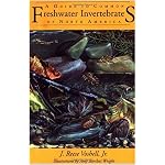 A Guide to Common Freshwater Invertebrates of North America book cover