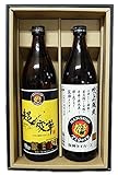 阪神タイガースボトル 超変革2016と吹上颯爽 芋焼酎 25度 900ml 2本ギフトセット