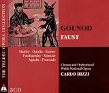 Faust Search