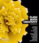 Flash Math Creativity