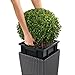 Lechuza 15385 Cube Cottage 40 Self-Watering Garden Planter for Indoor and Outdoor Use, 16