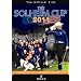 Solheim Cup 2011 DVD