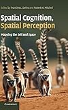 Spatial cognition, spatial perception : mapping the self and space